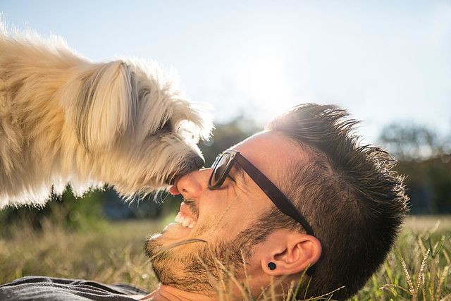 The Power of Love: How Pets Help LGBTQIA+ Owners Navigate&nbsp;Grief