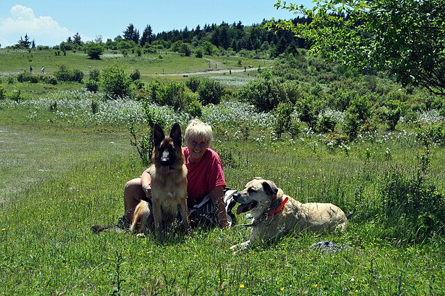 How Mindfulness With Dogs Can Boost Their Owner’s&nbsp;Wellbeing