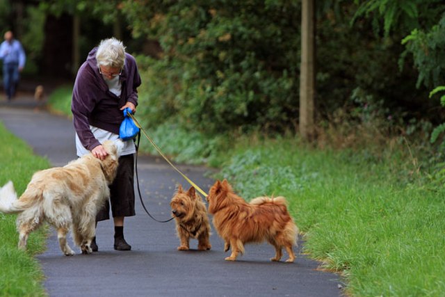 Pets Can Protect Against Depression in Older&nbsp;Adults