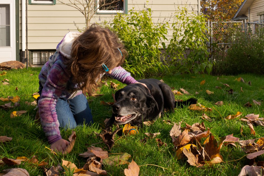 Dog-Assisted Interventions Can Boost Social Attention in Kids with&nbsp;ADHD