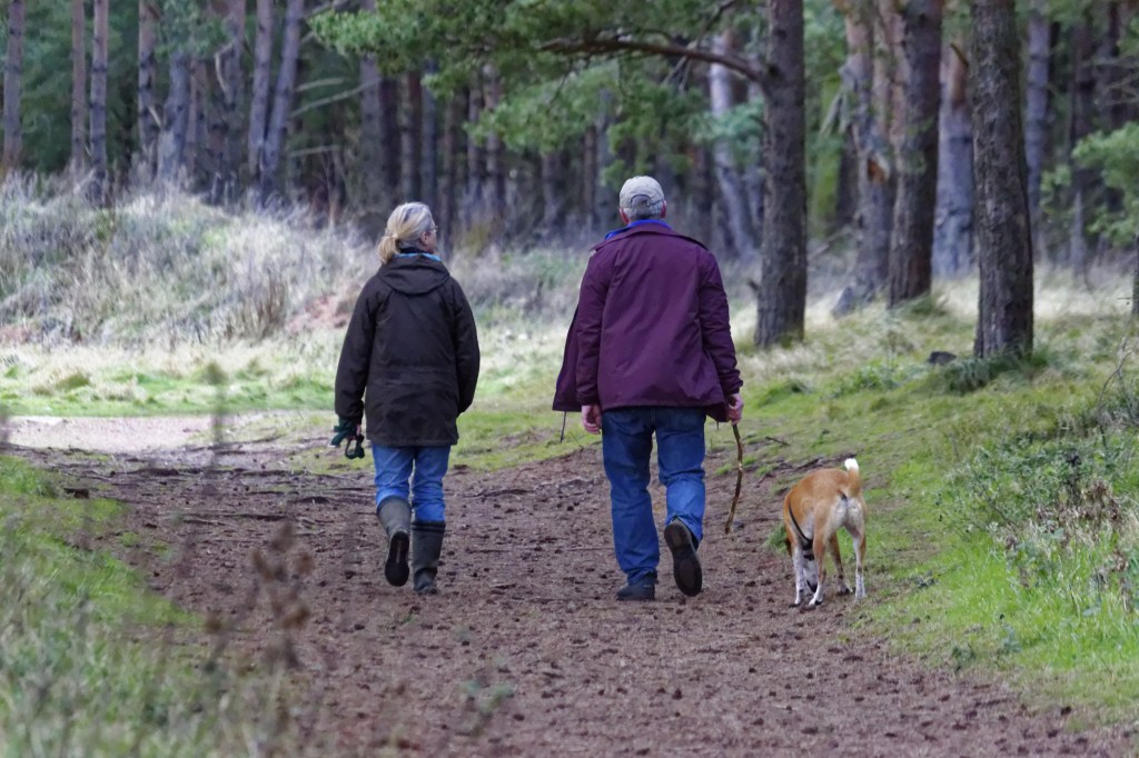 Dog Walking Boosts Seniors’ Activity Levels, Study&nbsp;Reveals