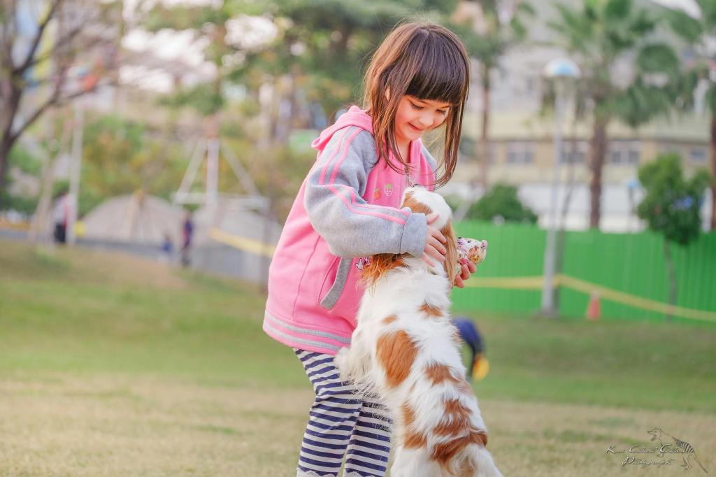 Through Their Eyes: The Connection Between Autistic Kids and&nbsp;Dogs