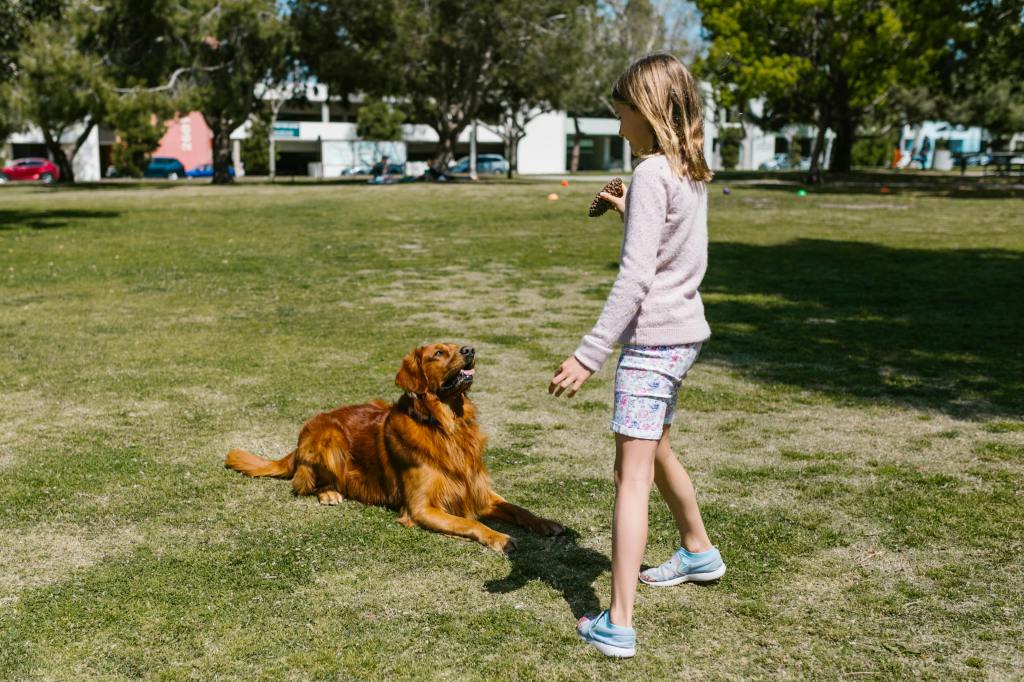 The Stress-Buffering Effects of Dog Interactions on&nbsp;Kids