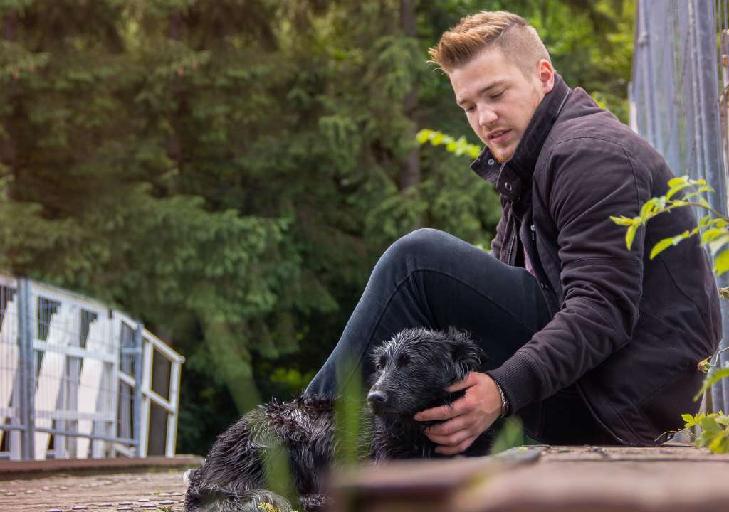 The Role of Psychiatric Service Dogs in Veterans With&nbsp;PTSD