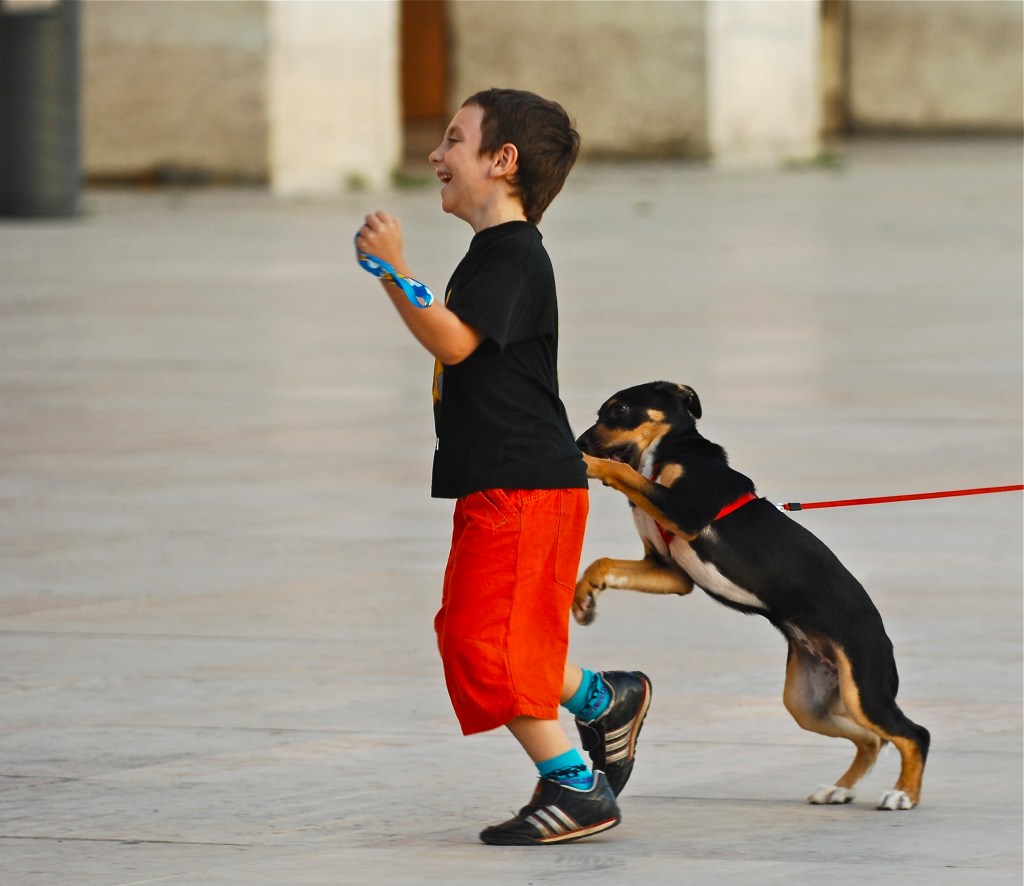 Dogs Boost Activity Levels in Kids with Developmental&nbsp;Disabilities