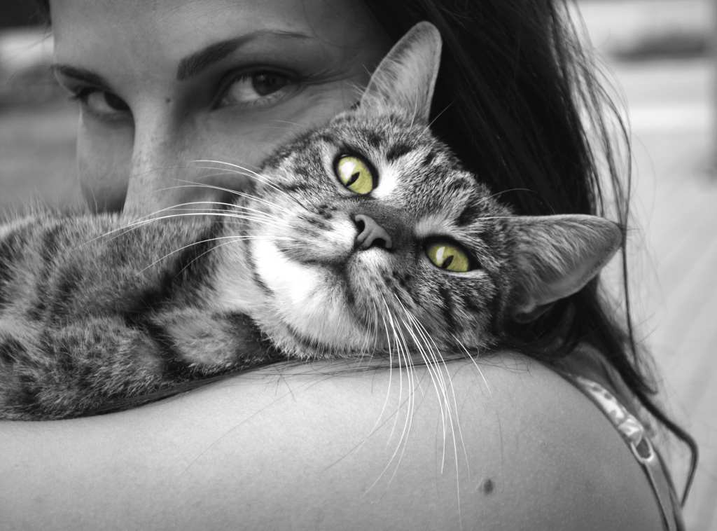 How Your Personality Impacts the Relationship You Have With Your&nbsp;Pet