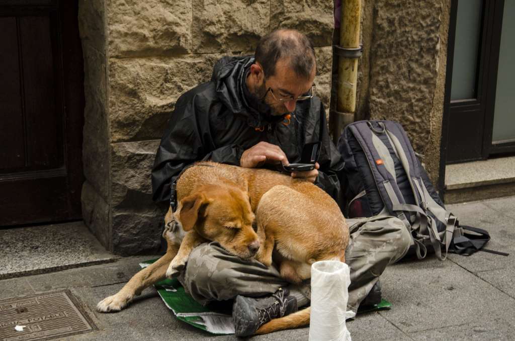 Sleeping Ruff: The Health & Wellbeing of Homeless People’s&nbsp;Dogs