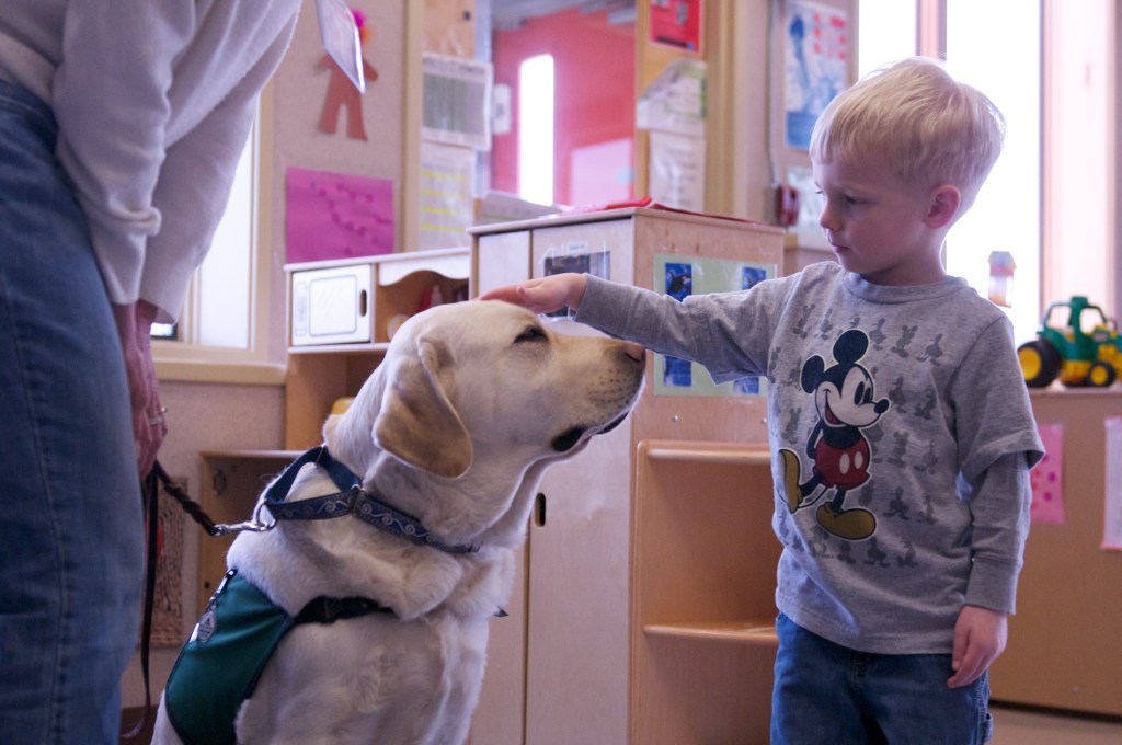 Dog Intervention Reduces Stress in School Kids, Study&nbsp;Shows